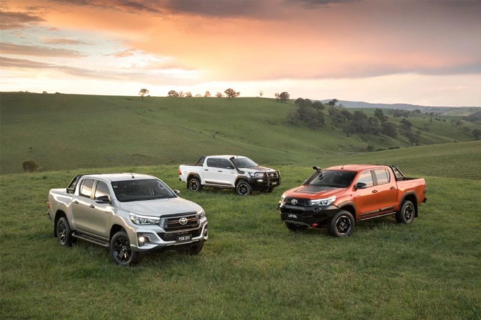 Toyota Hilux Utes in field