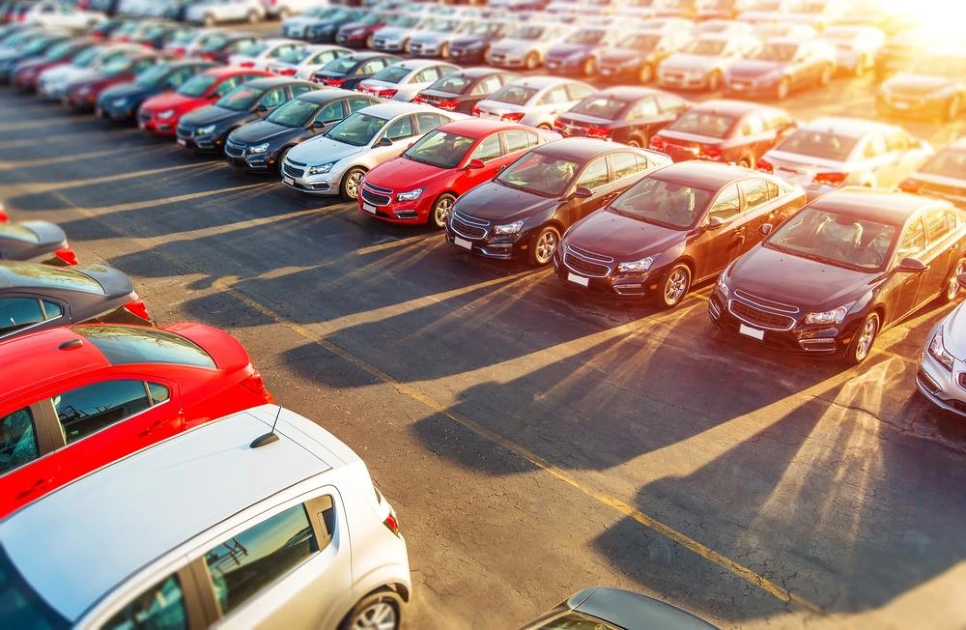 cars in yard